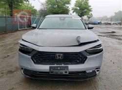 هوندا أكورد